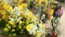 Easter flowers